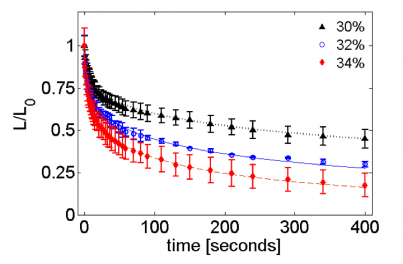 Decay of wrinkle length as a function of time on plasticized PS (99 kDa, 116 nm) films.